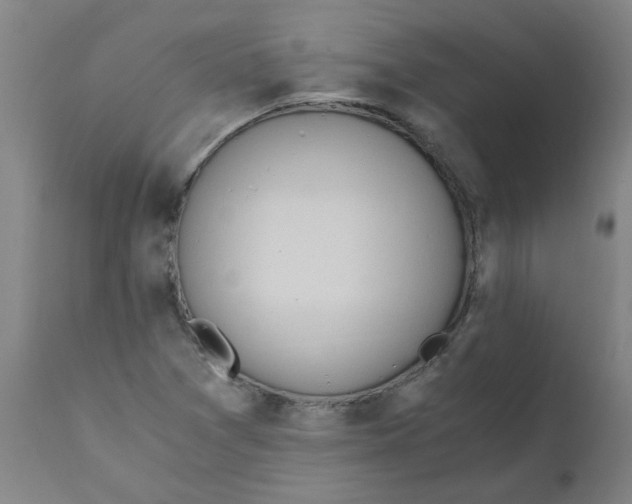 X0000110671361200907021836