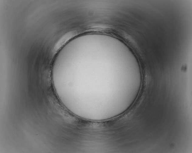 X0000110671362200907021836