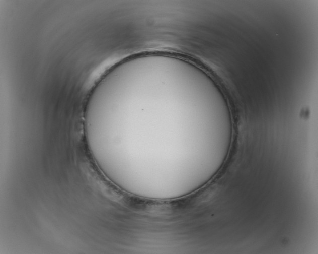 X0000110671363200907021836