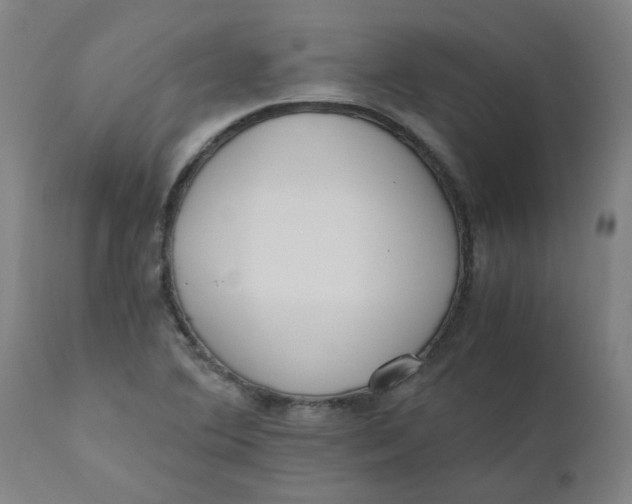X0000110671364200907021836