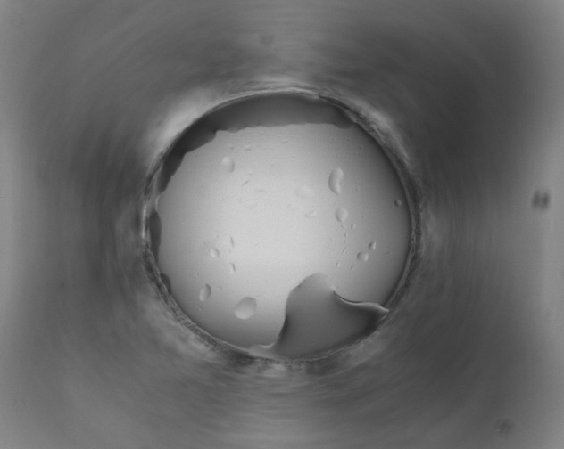 X0000110671365200907021836