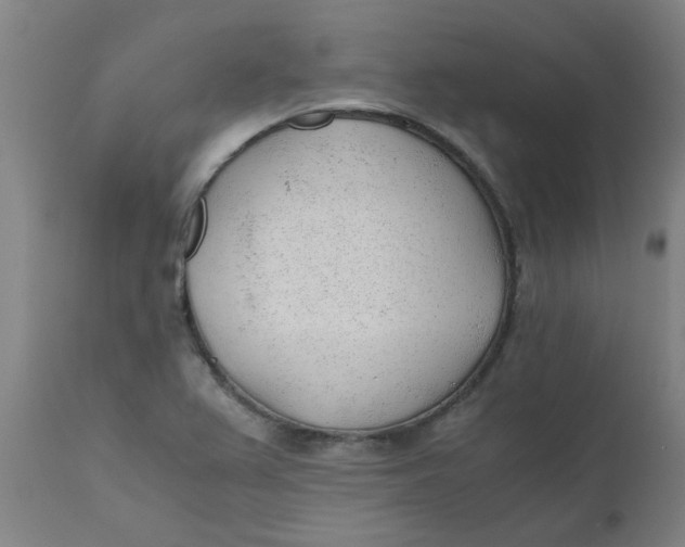 X0000110671367200907021836