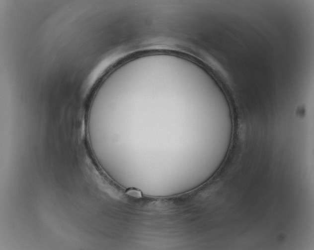 X0000110671368200907021836