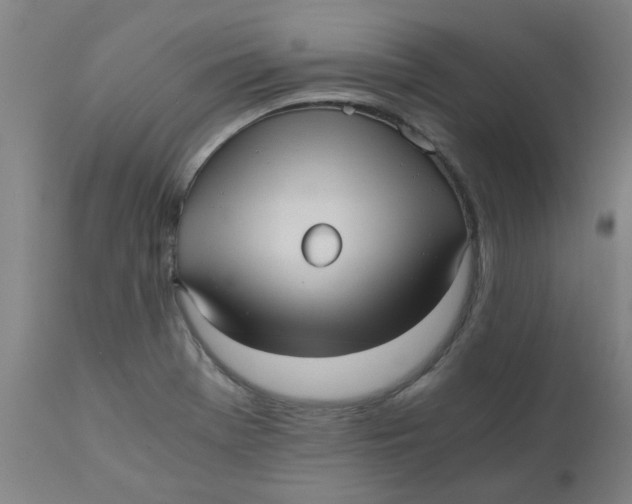 X0000110671369200907021836