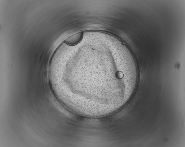 X0000110671370200907021836