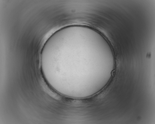 X0000110671371200907021836