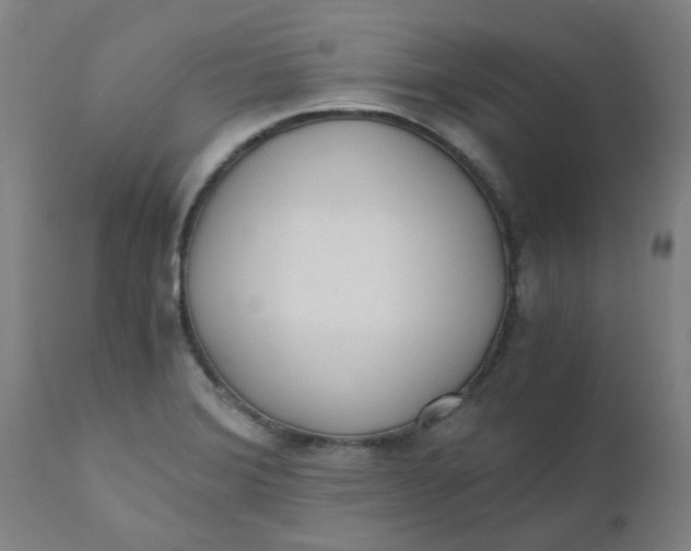 X0000110671372200907021836