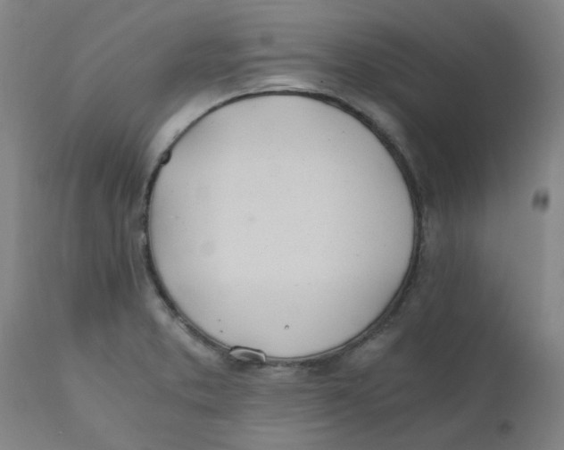 X0000110671373200907021836