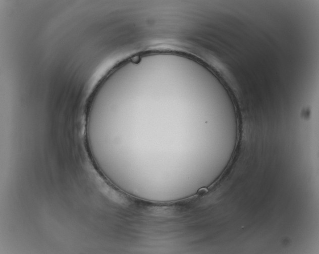 X0000110671376200907021836