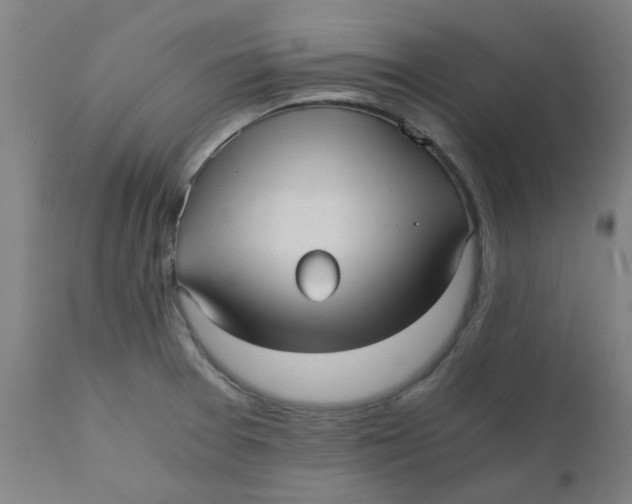 X0000110671377200907021836