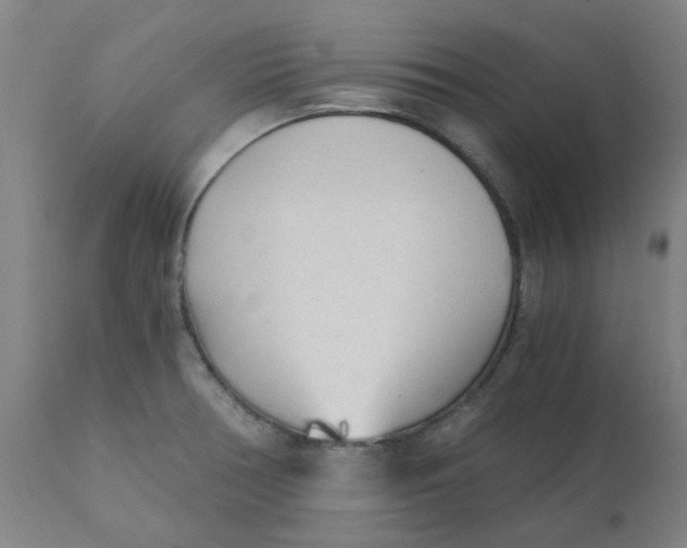 X0000110671378200907021836
