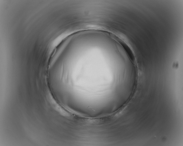 X0000110671381200907021836