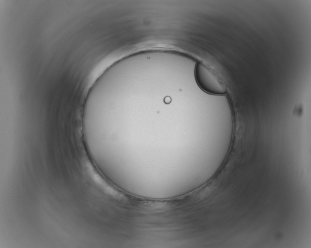 X0000110671382200907021836