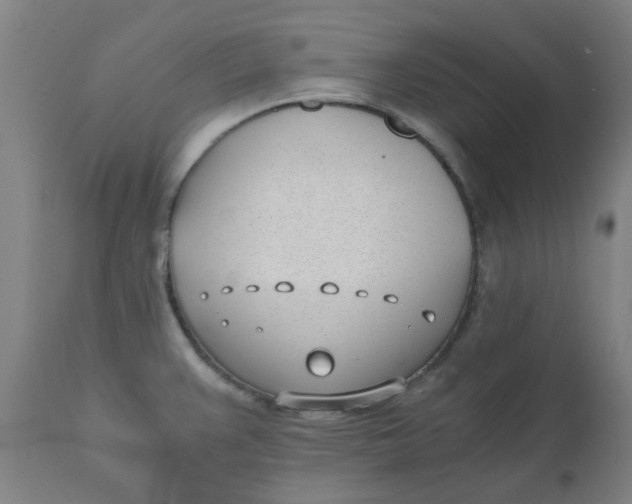 X0000110671383200907021836