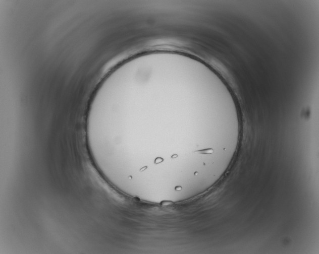 X0000110671384200907021836