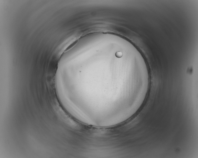 X0000110671385200907021836