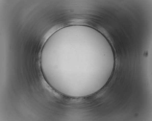 X0000110671386200907021835