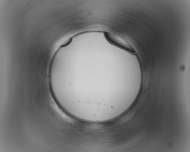 X0000110671387200907021835