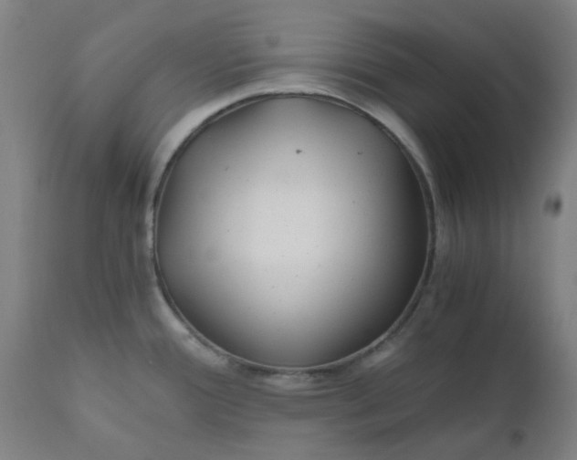 X0000110671388200907021835
