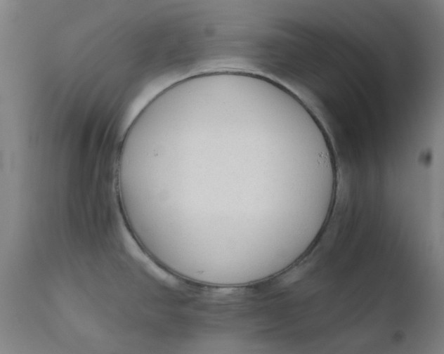 X0000110671390200907021835