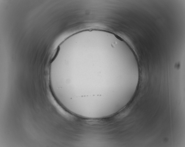 X0000110671391200907021835