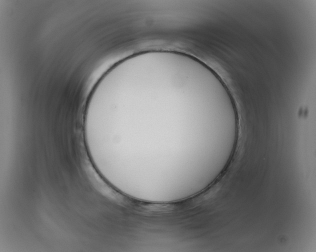 X0000110671392200907021835