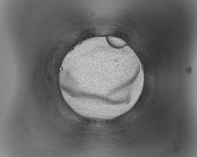 X0000110671393200907021834