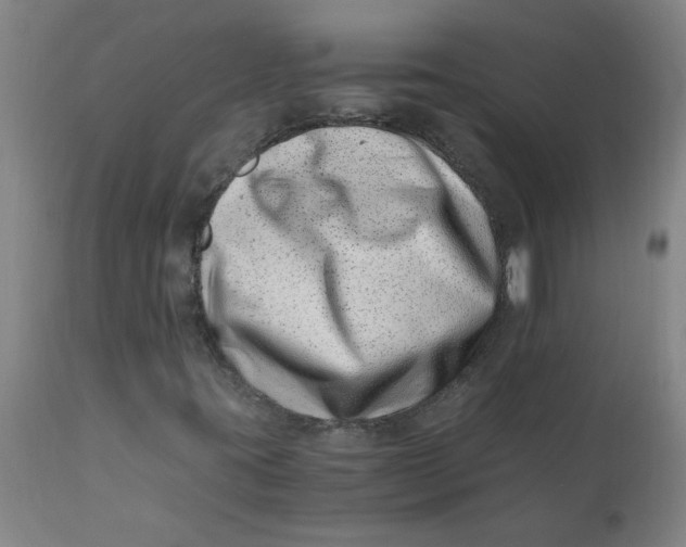 X0000110671395200907021834