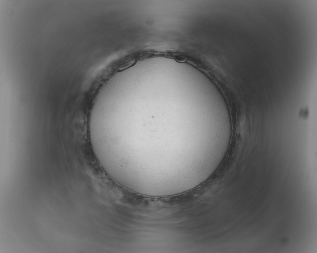 X0000110671398200907021835