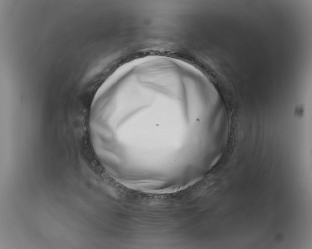 X0000110671399200907021835