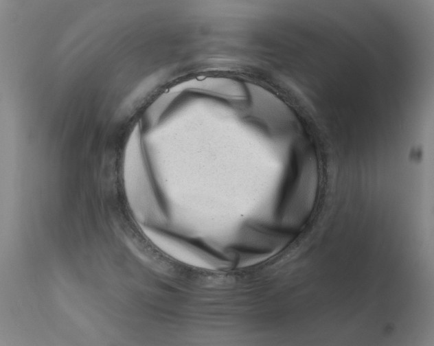 X0000110671403200907021835