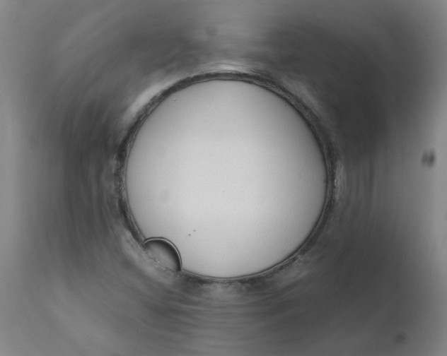 X0000110671404200907021835