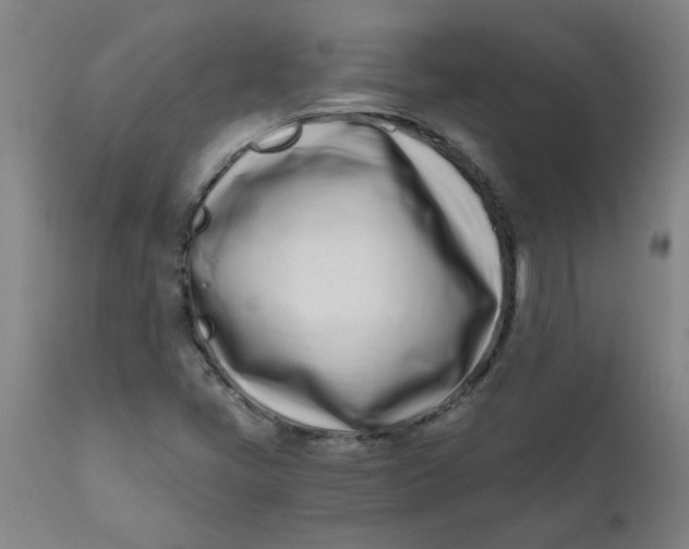 X0000110671405200907021835