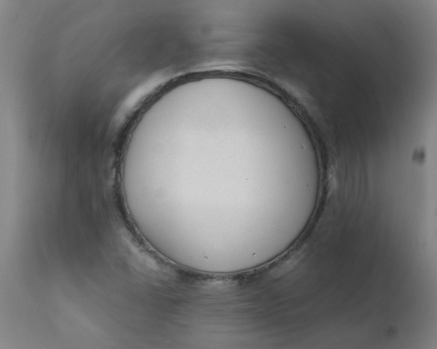 X0000110671406200907021835