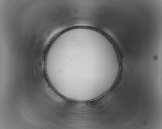X0000110671408200907021835