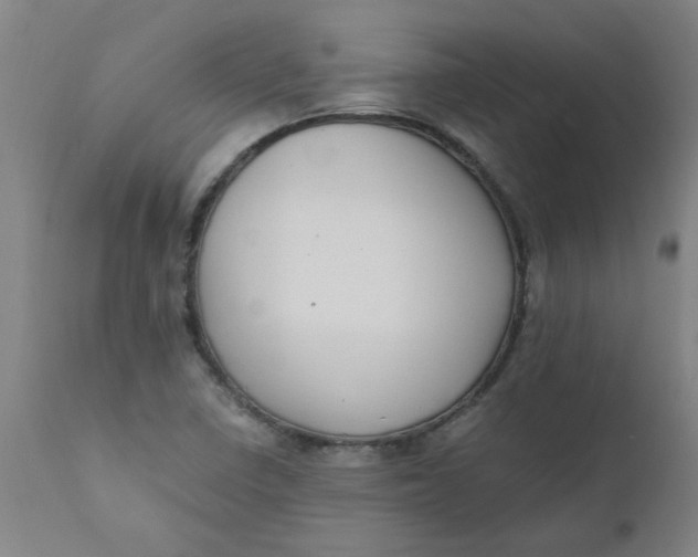 X0000110671410200907021835