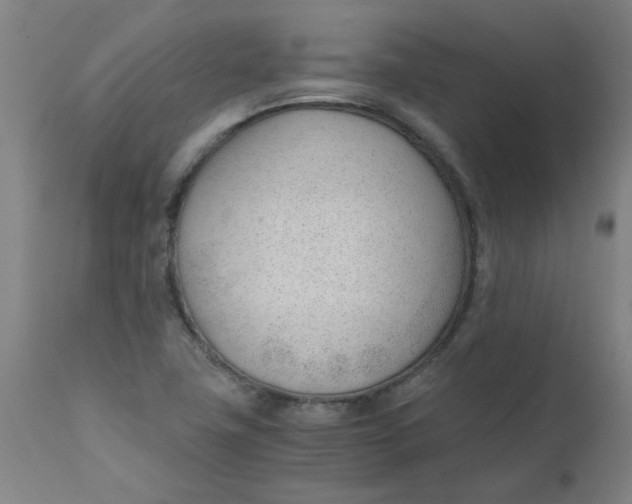 X0000110671411200907021835