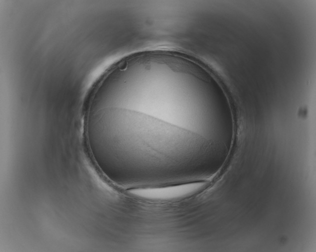 X0000110671414200907021835
