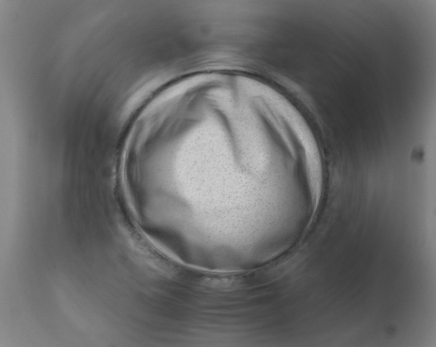 X0000110671415200907021835