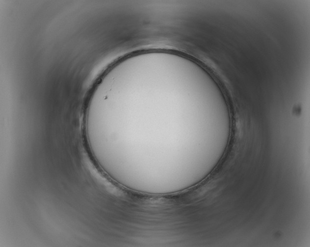 X0000110671416200907021835