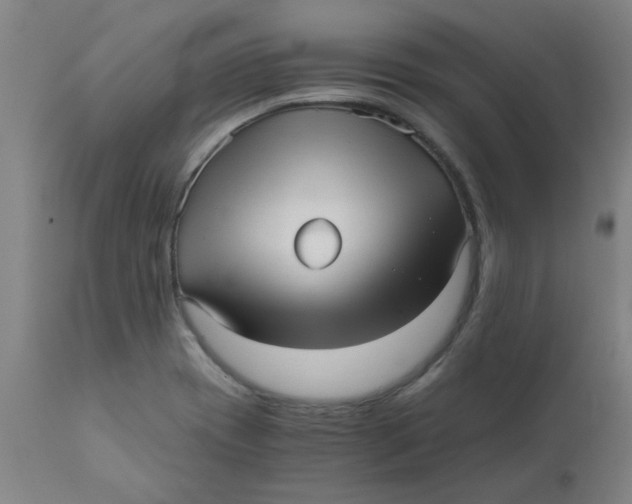 X0000110671417200907021835