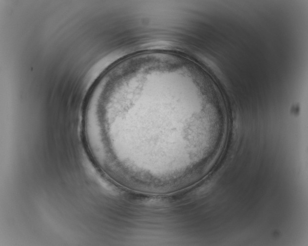 X0000110671418200907021835