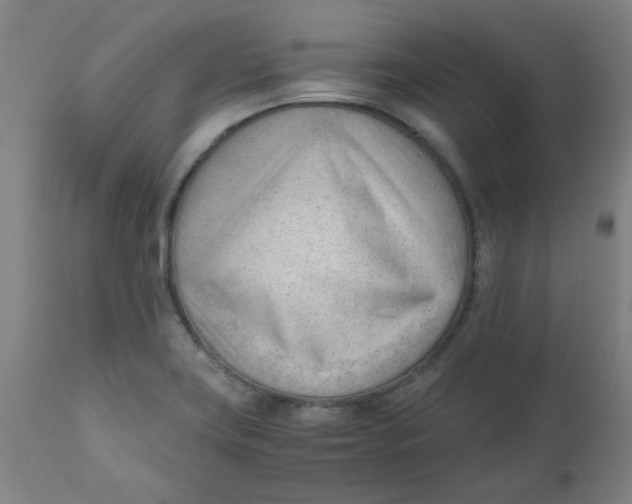 X0000110671419200907021835