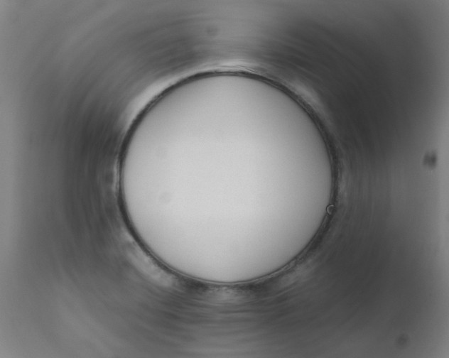 X0000110671420200907021835