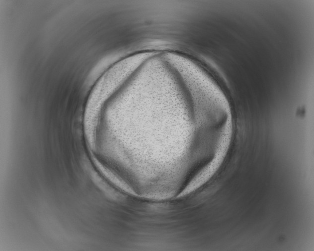 X0000110671421200907021835