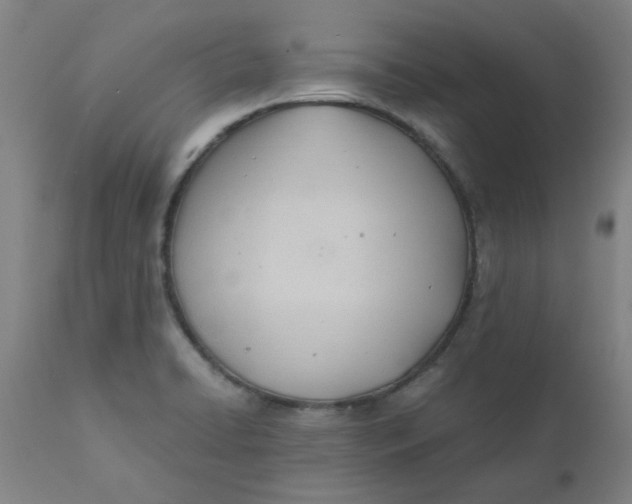 X0000110671422200907021835