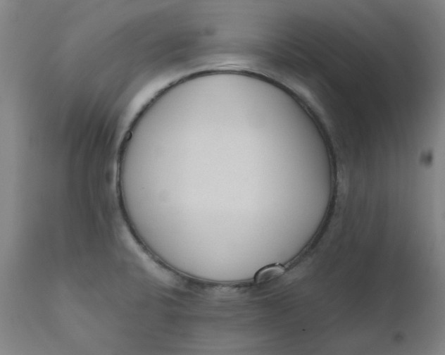 X0000110671424200907021835