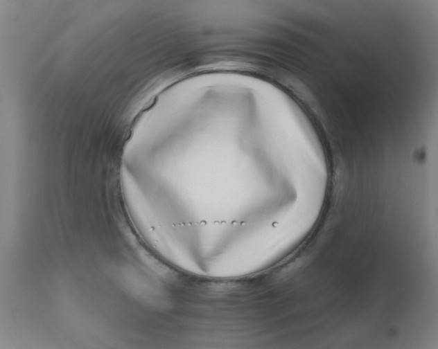 X0000110671425200907021835