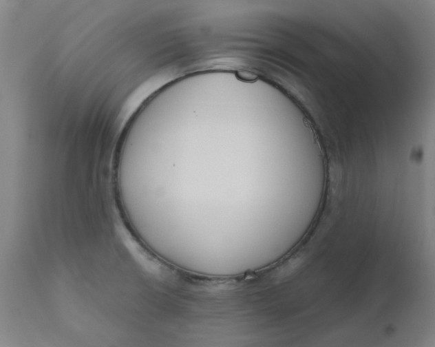 X0000110671426200907021835