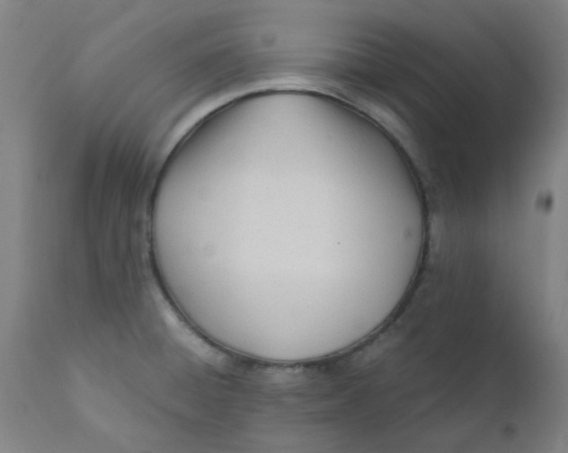 X0000110671428200907021835